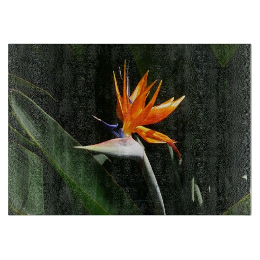 Vogelvogel van het Paradise Oranje Tropische Bloem Snijplank (Voorkant)