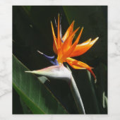 Vogelvogel van het Paradise Oranje Tropische Bloem Wijn Etiket (Enkel label)