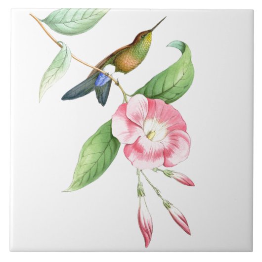 Vogelvogels bloemen bloemen dieren in het wild tegeltje (Voorkant)