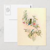 Vogelvogels bloemen Florentijnse dieren Wilde dier Briefkaart (Voorkant / Achterkant)
