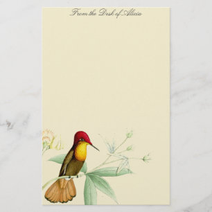 Vogelvogels bloemen Florenz Wilde dieren Briefpapier