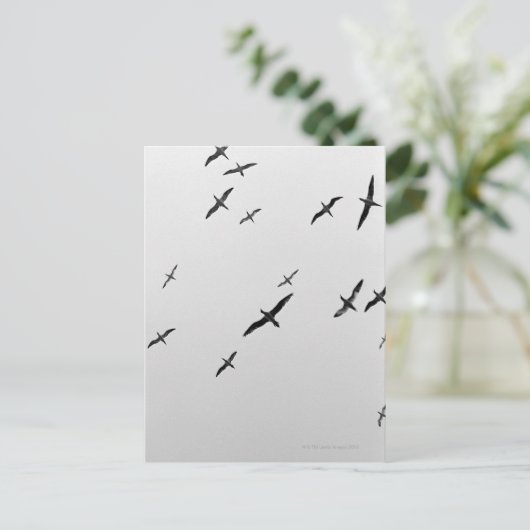 Vogelvogels Briefkaart (Staand voorkant)