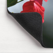 Vogelvogels en rode fluiten muismat (Hoek)