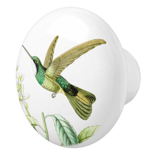 Vogelvogels in het wild levende dieren bloesems Kn Keramische Knop (Rechts)