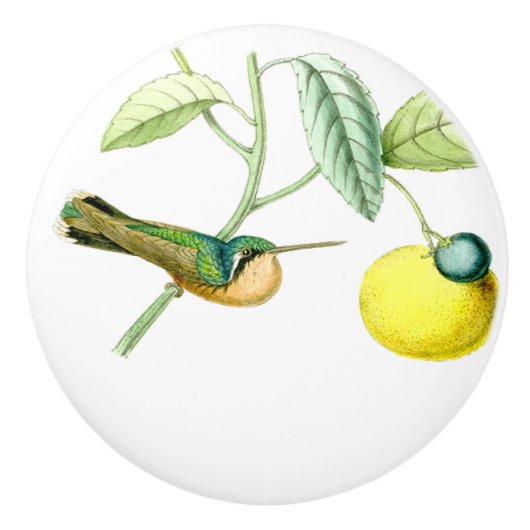 Vogelvogels in het wild levende dieren fruitknol keramische knop (Voorkant)