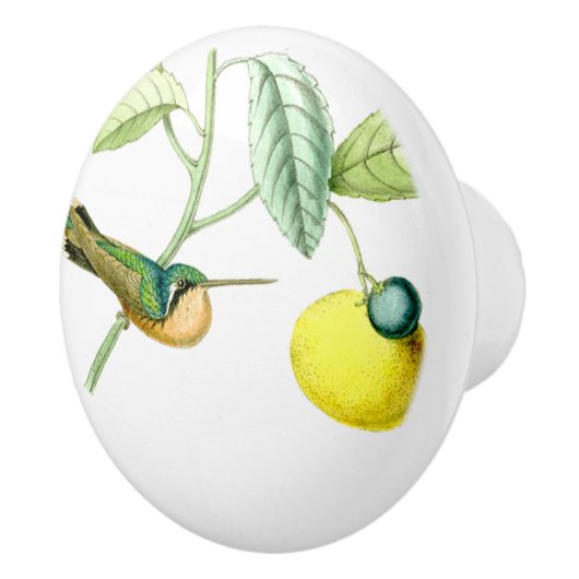 Vogelvogels in het wild levende dieren fruitknol keramische knop (Rechts)