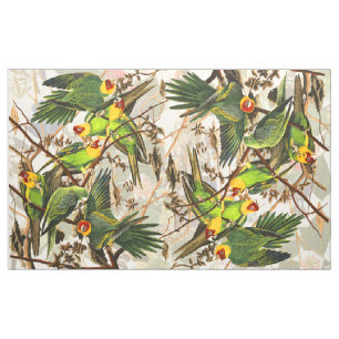Vogelvogels in het wild levende dieren stof