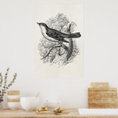  vogelvogels van de 18de eeuw poster (Keuken)