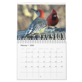 Vogelvogels van de Hudson Valley Kalender (Feb 2026)