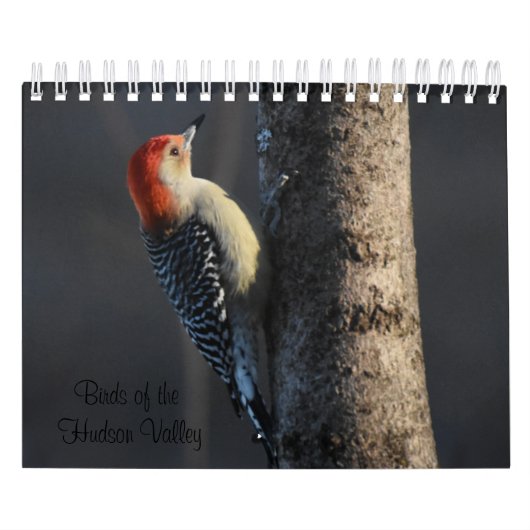 Vogelvogels van de Hudson Valley Kalender (Hoes)