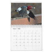 Vogelvogels van de Hudson Valley Kalender (Mar 2026)