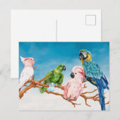 VogelWaterverf Parrot Macaw Cockatau Paraket Briefkaart (Voorkant / Achterkant)