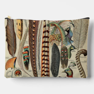 Vogelwildlife Antieke Veren Etui