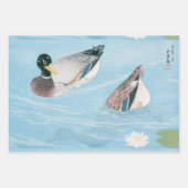  vogelzwaluw inpakpapier vel (Voorkant 2)