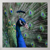 Vogue Poster (Voorkant)