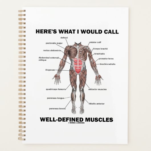 Voici ce que j'appellerais des muscles bien défini (Devant)