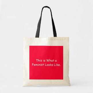 Voici ce que ressemble un féministe à un sac