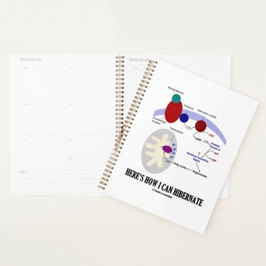 Voici comment je peux hiberner la thermogénèse (Devant avec enveloppe)