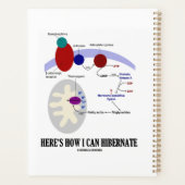 Voici comment je peux hiberner la thermogénèse (Dos)