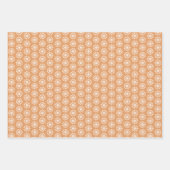 Voici le papier d'enveloppement solaire (Devant 2)