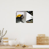 Voici ! Poster de Kitten (Cuisine)