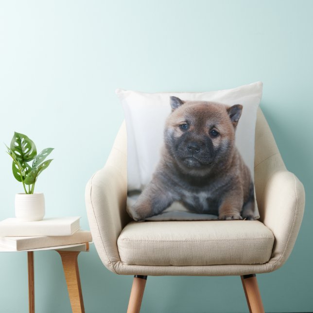 Voici un précieux chiot Akita, Coussin (Chaise)
