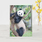 Voici votre carte de voeux Panda (Fleur jaune)