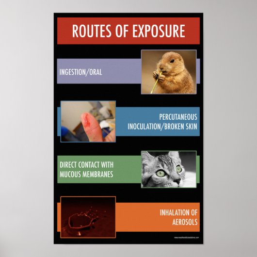 Voie de l'exposition Sécurité Poster informationne (Devant)