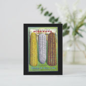 Voies vintages de maïs Annonce - Carte postale (Debout devant)