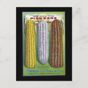 Voies vintages de maïs Annonce - Carte postale