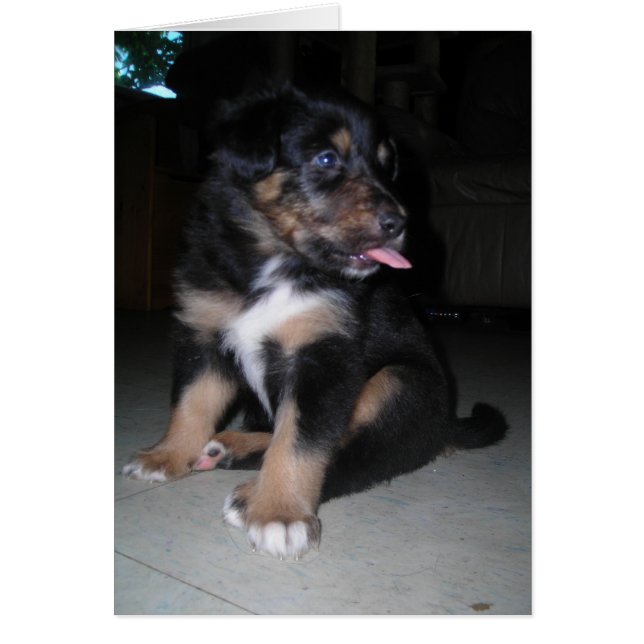 Voilà ! Framboise (Devant)