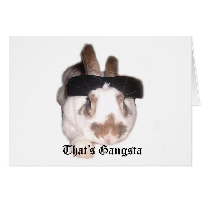 Voilà Gangsta (Devant horizontal)