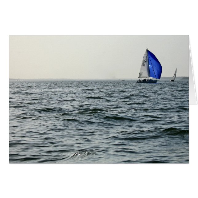 Voile bleue (Devant horizontal)