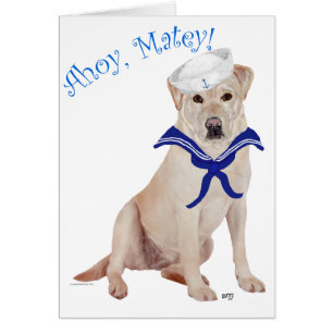 Voilier jaune du Labrador