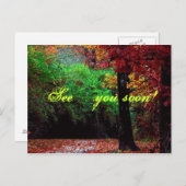 Voir...bientôt ! Carte postale Forêt (Devant / Derrière)