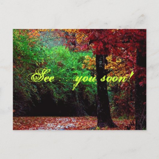 Voir...bientôt ! Carte postale Forêt (Devant)