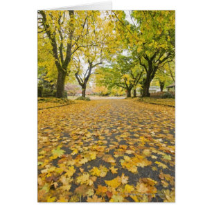 Voisinage d'Eastmoreland en automne