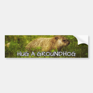 Voiture Accrochez un autocollant de pare-chocs de marmotte