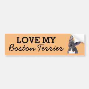 Voiture Autocollant de pare-chocs Boston Terrier