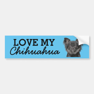 Voiture Autocollant de pare-chocs Chihuahua