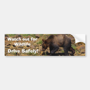 Voiture Autocollant de pare-chocs GRizzly Bear Cub Wildlif