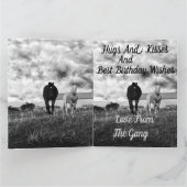 Voiture Cheval Blanc Noir, Carte Anniversaire (Intérieur)