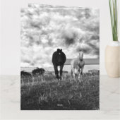 Voiture Cheval Blanc Noir, Carte Anniversaire (Dos)