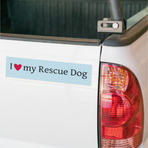 Voiture J'aime mon autocollant de pare-chocs pour chien se