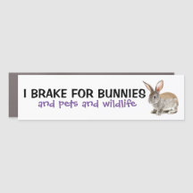 Je Freins Pour Bunnies Car Magnet