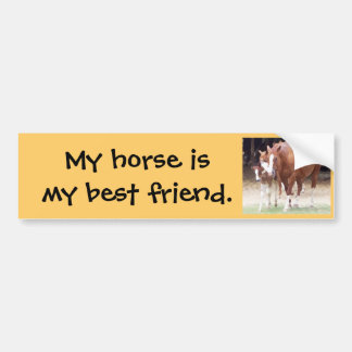 Voiture Mon cheval est mon autocollant de meilleur ami