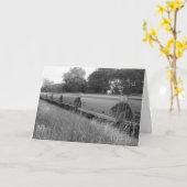 "Voitures de chemin de fer abandonnées" Carte de p (Fleur jaune)