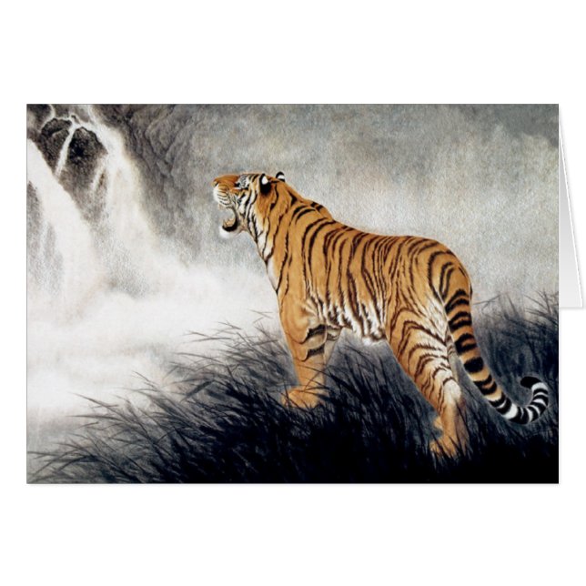Voix du Tigre (Devant horizontal)