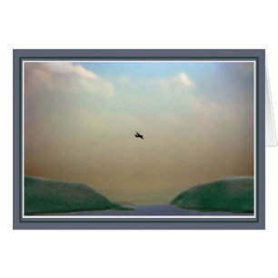 Vol au-dessus de l'Hudson