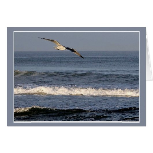 Vol au-dessus d'OBX (Devant horizontal)